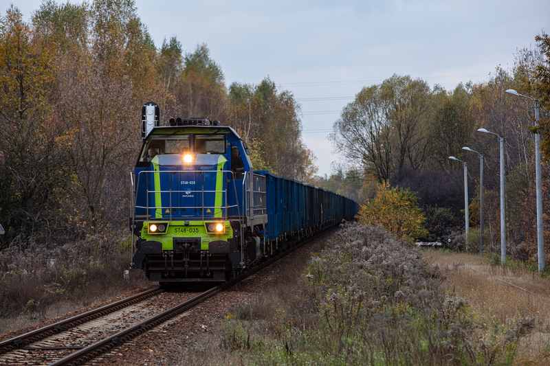 Pociąg PKP Cargo na torze w lesie